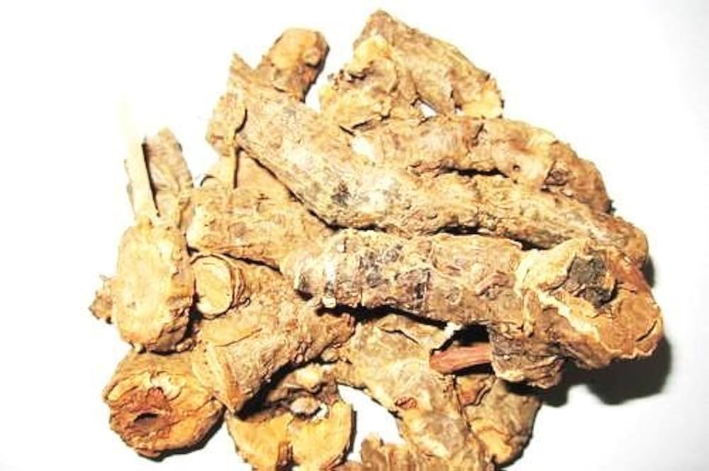 Saxifraga ligulata Root Powder, Pashanbhed Root Powder ,