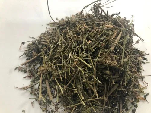 Country Mallow Whole Herb , Sida cordifolia Whole Herb
