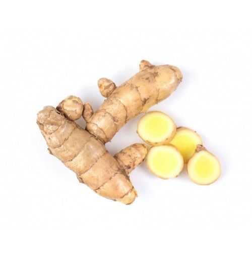 Curcuma zedoaria Whole Dried, White Turmeric Dried