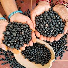 Sapindus trifoliatus seeds, Three leaf soapnut tree Seeds, ( With Holes )