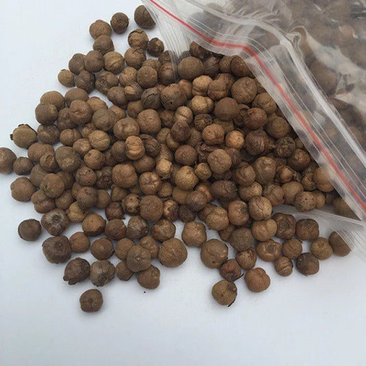 Tectona grandis Seeds ,Teak Tree Seeds  ( Pre - Drilled )