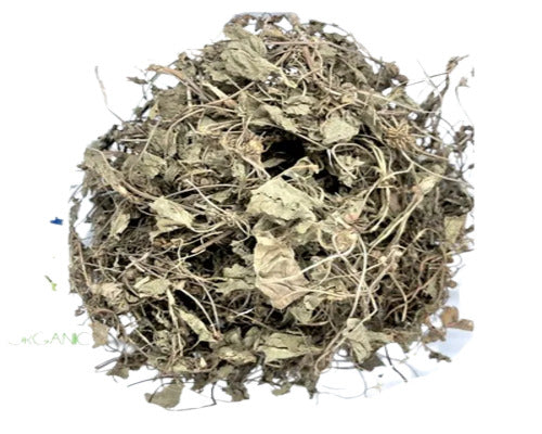 Bacopa monnieri Whole  Herb,  Herb of Grace   Whole  Dried