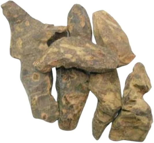 Smilax China Herb  Powder,