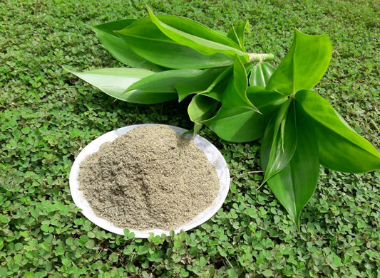 1 Kg Costus igneus  Leaves  Powder, Insulin Plant Leaves Powder