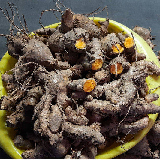 1  Kg Curcuma Lakadong  Rhizomes  (GI) Tagged  Lakadong turmeric ,  With Phytosanitary certificate
