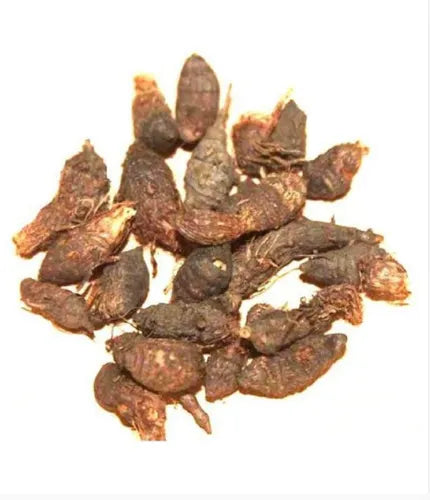 Nagarmotha Dried Roots , Cyperus rotundus Dried Roots