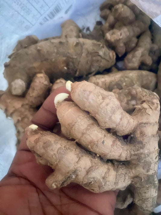 1 kg Mango ginger  Rhizomes,  Curcuma Amada Rhizomes  With Phytosanitary certificate