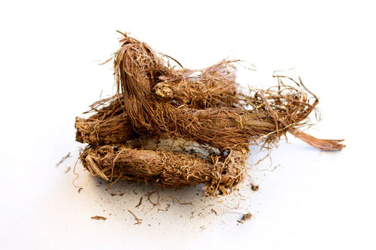 Nardostachys jatamansi  Dried Roots,  Jatamansi Dried  Root
