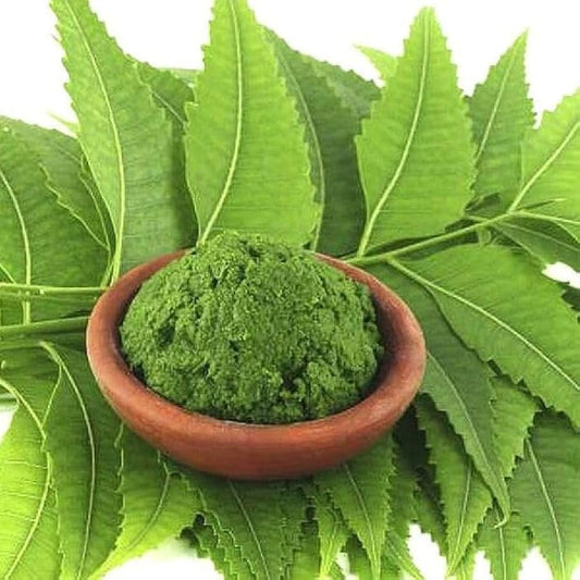 Neem Leaf Powder., Azadirachta indica Leaves Powder