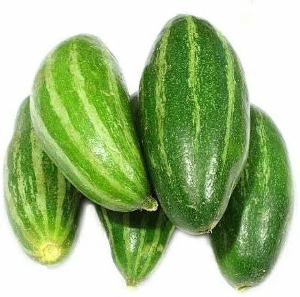 50 Trichosanthes dioica Seeds – Pointed Gourd Seeds, Parwal Seeds, Parval Seeds