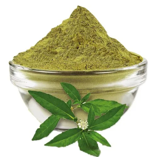 Eclipta alba  Powder,  Eclipta prostrata  Herb Powder