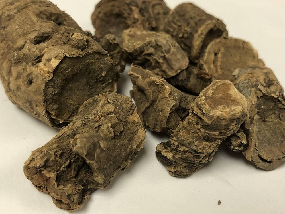 Saxifraga Ligulata  Dried Root,  Pashanbhed  Dried Roots