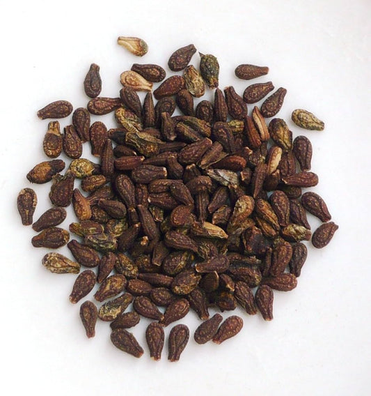 Bryonia laciniosa Seeds  Dried , Indian Bryony, Striped Cucumber, Shivalingi Seeds
