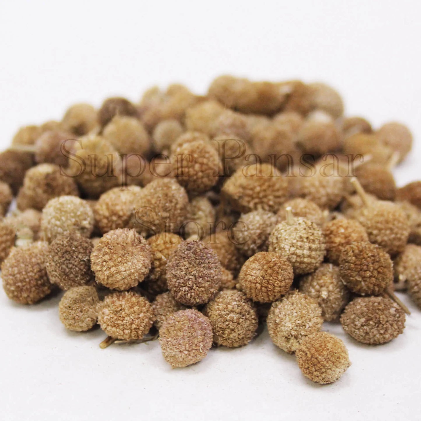 1 KG Sphaeranthus Indicus Dried Seeds,  + Phytosanitary Certificate