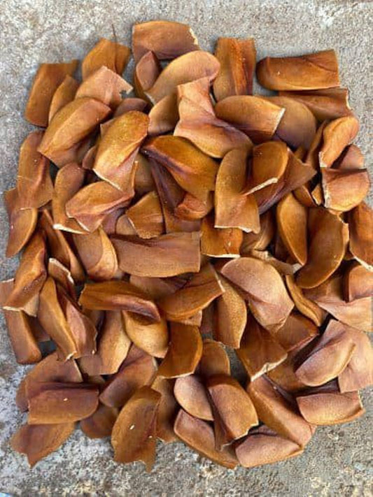 1 kg Swietenia Macrophylla Seeds,  + Phytosanitary Certificate