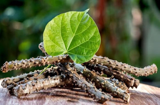 1 Kg Tinospora cordifolia Roots, Giloy Roots , Guduchi, Amrita