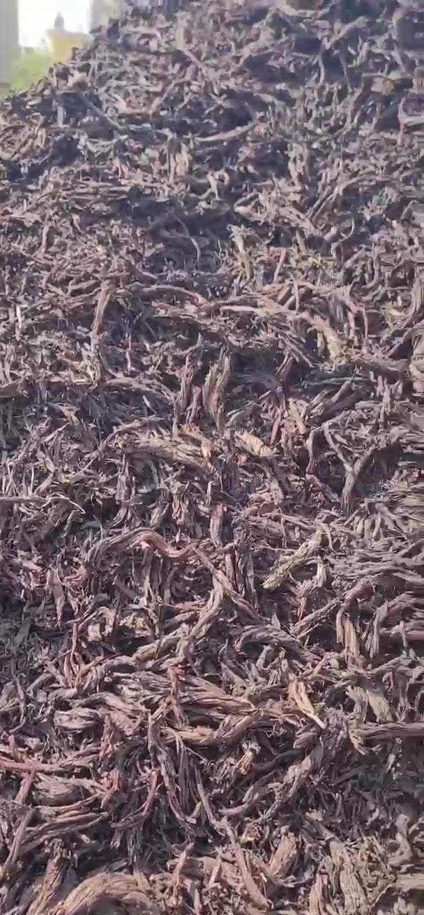1 Kg Alkanna tinctoria Dried Roots , Free Global Shipping