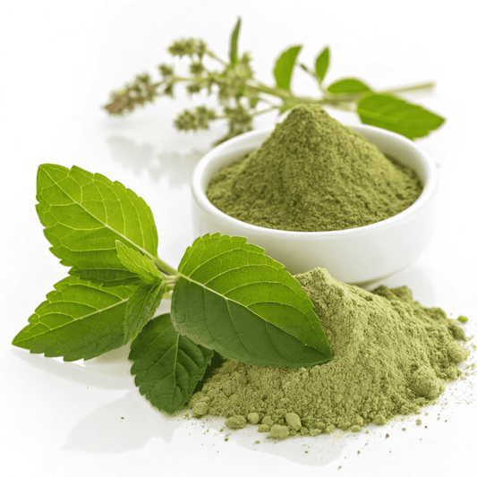 Ocimum sanctum Leaf Powder, Tulsi Leaf Powder ,Holy Basil  Powders,