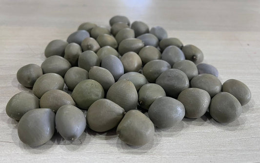 Caesalpinia bonduc Seeds, Grey Niker Seeds, ( With Holes )