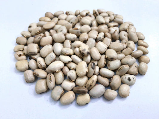 1 Kg White Velvet Bean Seeds (Mucuna pruriens White ) | Green Manure & Cover Crop